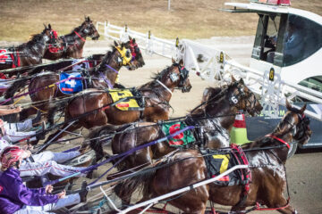 Horses Behind the Gates